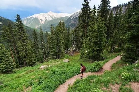 Child-friendly forest trail